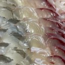 부산첫회 이미지