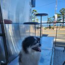 시아의 여행 이미지