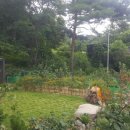 토지추어탕 이미지