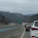 행렬농장 | 강원도 여행 대관령 주주파크, 아이랑 갈만한곳 내돈내산 솔직 후기