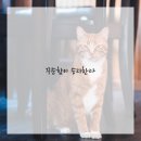 글쓰기의 첫걸음 이미지