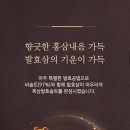 솔트힐링스파 이미지