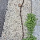 (주)가자고 이미지