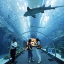 아쿠아리움 이미지