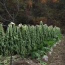 음정마을 이미지