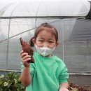 슬기로운어린이집 이미지