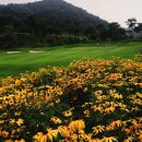 해피니스CC 이미지