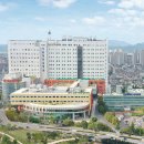 대구가톨릭정형외과 이미지