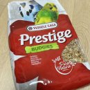 모이프레스티지 이미지