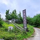 경포솔향기펜션 | 강원도 강릉 펜션 독채 강릉 카라반 캠핑장 가족숙박 후기