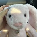 천안공고 | 천안 터미널 신부동 내돈내산 솔직후기 줄서서 먹는 김치치즈붕어빵 붕어빵의신