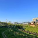 바람모아공원 이미지