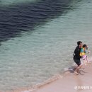 애월한담해안산책로 이미지