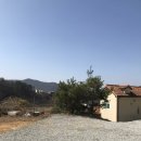 (주)안다미로 이미지