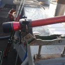 영일1호 이미지