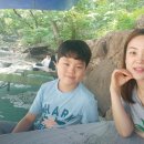 장산골 티스토리