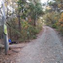 우면산3-19 이미지