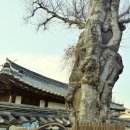 목사내아 이미지