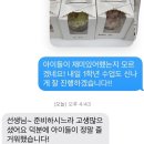 남외초등학교 | 남외초등학교 1,4학년 전체 수업(213인, 쿠키 426개, 마카롱 426개, 컵케이크 213개!!)