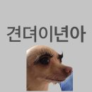 실내건축기능사 비전공자 실기 합격 후기와 필기 꿀팁 (2025년 시험 일정)