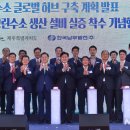 허브그린 이미지