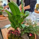 꿈꾸는숲민박 이미지