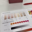 수원-1556 | 수원 망포 메이크업 메이크눈썹, 그집 퍼스널컬러 진단 후기｜겨울 쿨톤 딥 메이크업까지 받아봄