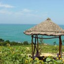 원두막집 이미지