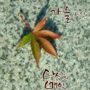 화성효나눔노인복지센터 이미지