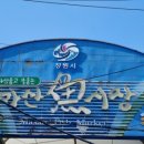 마산수산시장 이미지
