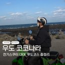 하우목동항 | 우도 코코나라 전기스쿠터 이용 후기 | 하우목동항·훈데르크·우도일주 면허 등 총정리
