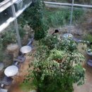 어반플랜트(UrbanPlant)