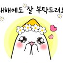 아베크음악전문학원 이미지