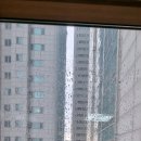 롯데캐슬천지인 원룸 입주청소 후기 종로구 숭인동 오피스텔 현장