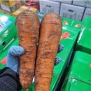 영암상회 이미지