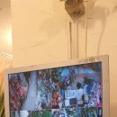 번창카메라 이미지