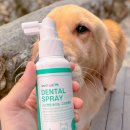 (주)리스펫 이미지