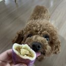 낭산경로당 | ［익산］주실래