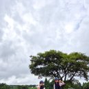 인경목장 이미지