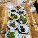 내돈내산) 전라도 강진 대성숯불갈비 솔직후기