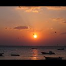 해오름1로 이미지