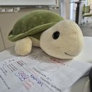 정은자 | [나는배우다]드디어, 공연하다!