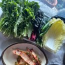 우렁마을 | 군산 쌈밥 맛집 강촌마을 우렁정식 쌈밥 내돈내산 솔직후기