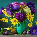 당신은 선물입니다 이미지