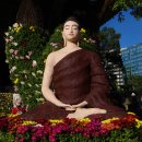 향기가있는풍경 이미지