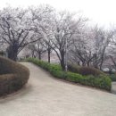 세영공원 농구장 이미지