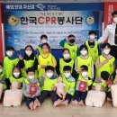용인대백호태권도장 이미지