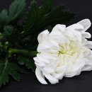 ㈜델타여행사 이미지