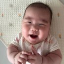 피내농장 | 116~120, 첫 생리, 어스본 사운드북, 뒤방쿠, 청주 산후조리비 50만원 필라테스 산후운동, BCG 피내용 고름