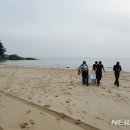 대천해수욕장 이미지